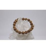 Rudraksha Tohum Bileklik 8mm