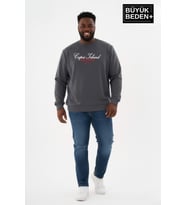 Erkek Büyük Beden Capri Island Baskılı Bisiklet Yaka ince Sweatshirt SPR26BSW956-14 (Füme)