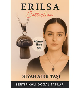 Sertifikalı Mantar Model Siyah Akik Taşı Kolye - Güç ve İlham Veren Doğal Taş (Çok Renkli)