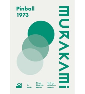 Pinball, 1973