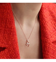 Yılan Modeli Zirkon Taşlı Rose Gold Kaplama Gümüş Kolye