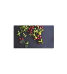 DBSanatevi Meyve Tablo 35 X 35 cm