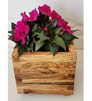 ahşap saksı zeytin ağacı15x15x15