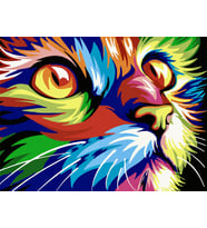 Renkli Kedi Sayılarla Boyama Seti 50x65 cm (Tuvale Gerili)