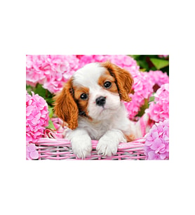 Çiçekler Ve Yavru Köpek Çerçeveli 70x90 Sayılarla Boyama Hobi Seti