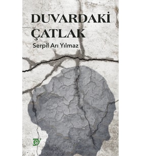 Duvardaki Çatlak