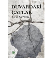Duvardaki Çatlak