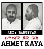 Ahmet Kaya Adı Bahtiyar İyimser Bir Gül - Plak (Standart)