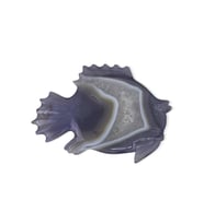 Balık Figürlü Akik Taşı (Gri)