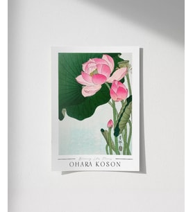 Çerçevesiz Poster Ohara Koson Çiçek Açan Lotus