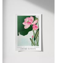 Çerçevesiz Poster Ohara Koson Çiçek Açan Lotus (Çok Renkli)