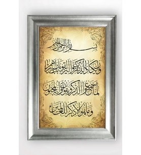 GÜMÜŞ ÇERÇEVELİ TABLO A1584
