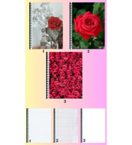 Gül 3 adet defter A4 büyük boy çizgili_kareli_çizgisiz