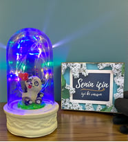 Senin İçin İyi Ki Varsın Hediye Kartı ve Renkli Led Işıklı Tasarım Fanus (Model 6)