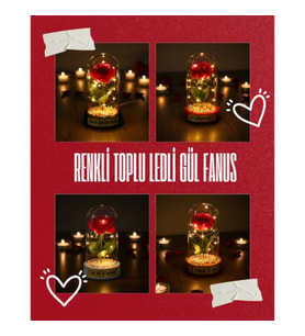 Renkli Toplu Ledli Gül Fanus
