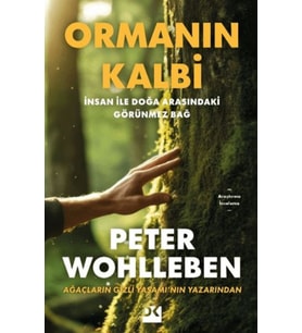 Ormanın Kalbi