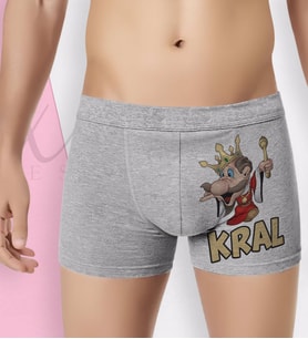 BK Gift Özel Tasarım Eğlenceli Erkek Boxer Serisi - Model 30