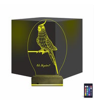 Luvivia Papağan Sultan Papağanı Kişiye Özel 3D Lamba - Masa Gece Lambası