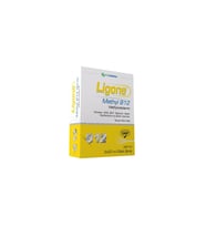 Ligone Methyl B12 Dilaltı Sprey 40 ml