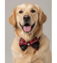 Aristokrat Büyük ve Orta Irk Köpek Papyonu  Ekose Desen Silver Taşlı Şık Aksesuar