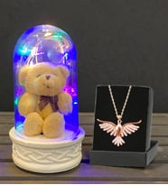 Renkli Led Işıklı Biblolu Fanus ve Zümrüdü Anka Kuşu Kolye Premium Hediye Seti (Model 2)
