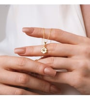 925 Ayar Gümüş Aster Çiçeği Eylül Ayı Minimal Doğum Taşı Kolyesi (Altın)
