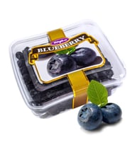 Tuğba Kuruyemiş Blueberry Kurusu 101 GR