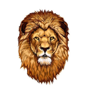 Renkli Aslan Araba Oto Sticker Yapıştırma Etiket 17CM h5