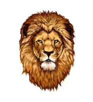 Renkli Aslan Araba Oto Sticker Yapıştırma Etiket 17CM h5