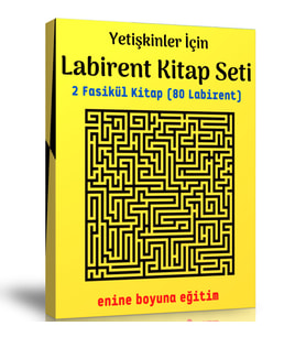 Yetişkinler İçin Labirent Kitap Seti (2 Fasikül Kitap)