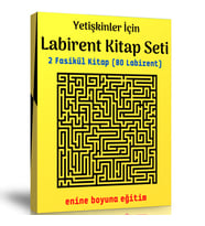 Yetişkinler İçin Labirent Kitap Seti (2 Fasikül Kitap)