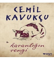 Karanlığın Rengi