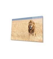 Aslan Cam Tablo 4mm Dayanıklı Temperli Cam (Çok Renkli)