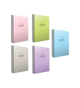 GIPTA PASTORAL SPİRALLİ PP.KAPAK A4 40 YP. KARELİ DEFTER