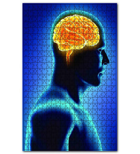 Cakapuzzle İnsan iç organik Beyin. Puzzle Yapboz MDF (Ahşap) (120 Parça)