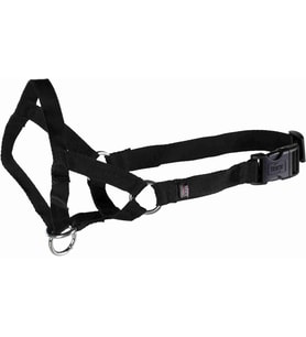 Uzman Köpek Eğitim Tasması Xl 46Cm