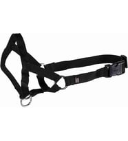 Uzman Köpek Eğitim Tasması Xl 46Cm