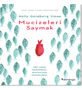 Mucizeleri Saymak