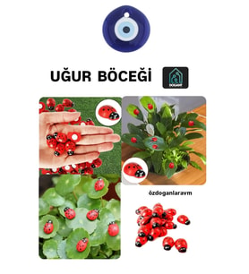 Kırmızı Uğur Böceği 50 Adet Dekor Uğur Böceği Desenli Süs Parti Malzemesi