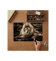 Yaşlı Aslan Tasarımı 240 parça Ahşap Puzzle Ahşap Kutuda MP06910