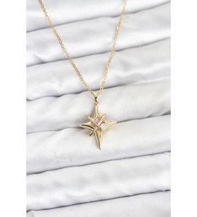 316L Çelik Gold Renk Zirkon Taşlı Kutup Yıldızı Model Kadın Kolye 5886 - SSSSSS4736-2478