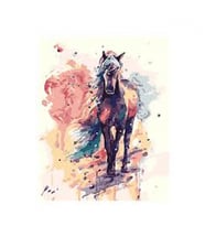 Düşlerdeki At Sayılarla Boyama Seti Canvas Kasnaklı 40 x 50 cm