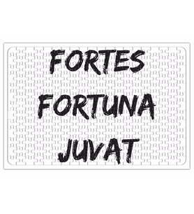 A Sorte Favorece Os Fortes Fortes Fortuna Juvat Puzzle 240 Parça Yapboz