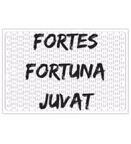 A Sorte Favorece Os Fortes Fortes Fortuna Juvat Puzzle 240 Parça Yapboz