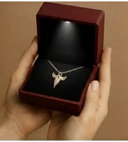 ✨ Işıklı Kutuda Zarif Melek Kanadı Altın Kaplama Kolye – Şık ve Anlamlı Hediye (Gold)