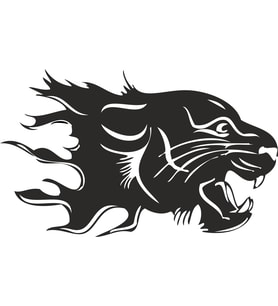 ASLAN 11 FOLYO STİCKER 130cm Uzunluk