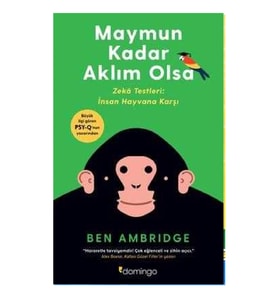 Maymun Kadar Aklım Olsa - Ben Ambridge