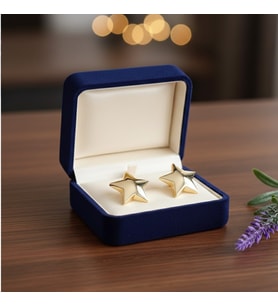 Lente Aksesuar Yıldız Küpe (Gold)