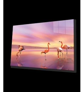  Flamingo Hayvan Cam Tablo 4mm Dayanıklı Temperli Cam