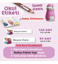 Okul Etiketi Kalem Defter Etiketi Karlar Prensesi Temalı Özel İsim Yazılabilen Etiket - 252Adet